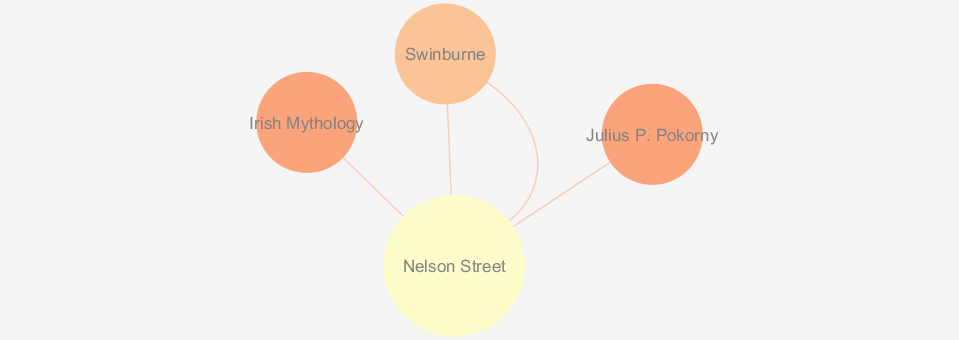 Nelson Street Network Graph